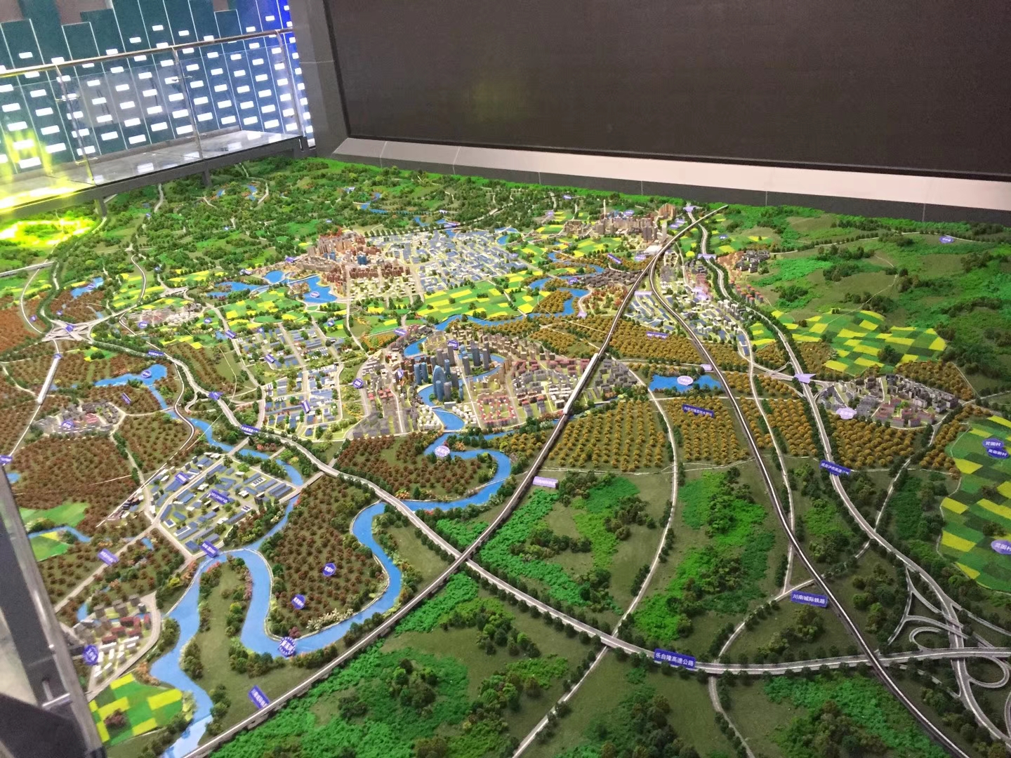 从规模扩张迈向高质量发展行业共话主题公园焕新城市活力(图1)